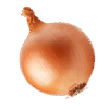 pngtree-fresh-onion-on-transparent-background-png-image_16296722 بصل فرش